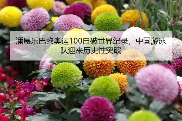 潘展乐巴黎奥运100自破世界纪录，中国游泳队迎来历史性突破