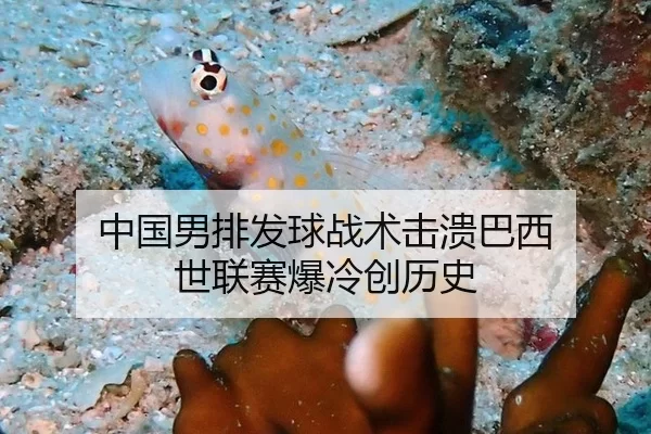 中国男排发球战术击溃巴西 世联赛爆冷创历史