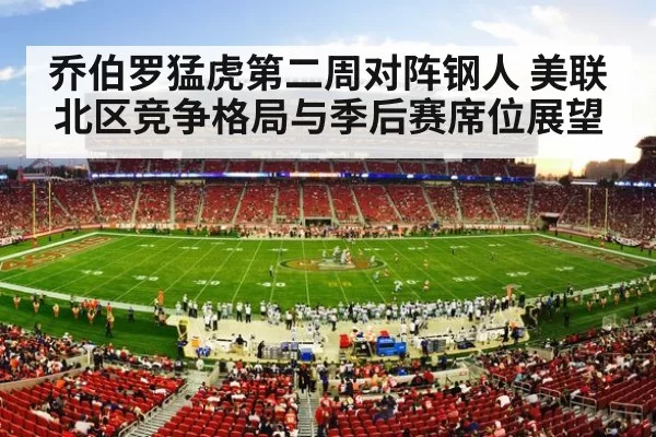 nfl stadium crowd night game