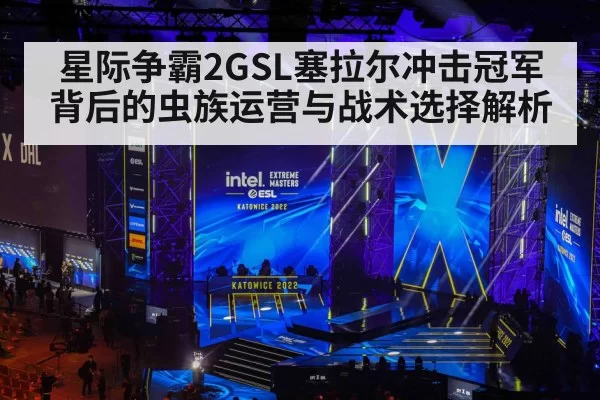 星际争霸2GSL塞拉尔冲击冠军背后的虫族运营与战术选择解析